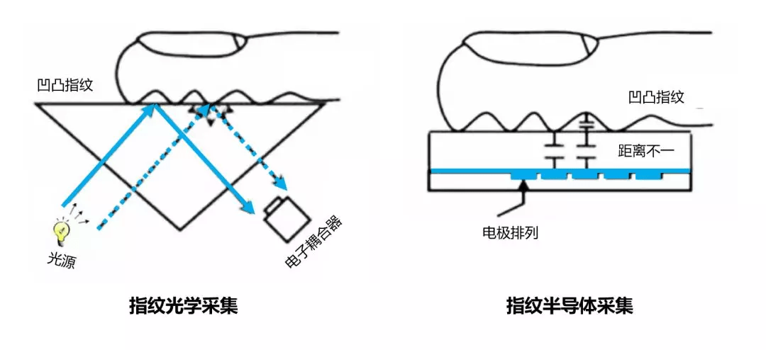 手存筋了是什么原理_腿上有紫筋是什么原因(2)