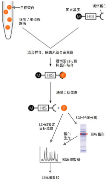 c7353c0b056e4283b99323e3151ce84c.png