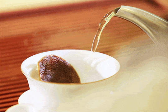 858158364b4a4e6ba99b946dc3972769.gif