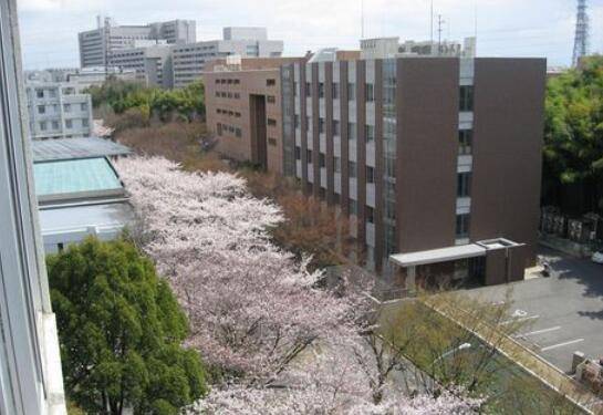 日本法政大学大学难考吗