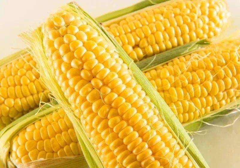 排骨|玉米熟了！教你3招，轻松挑出新鲜好玉米今日处暑