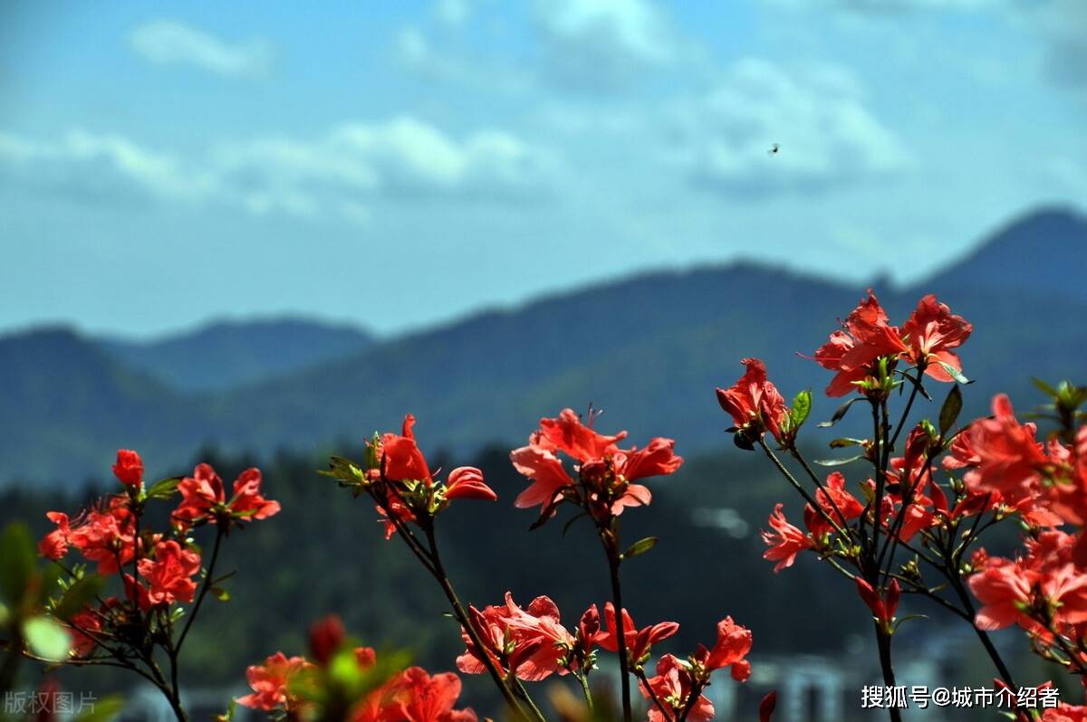 丰城市2019经济GDP_丰城市人民医院图片(2)