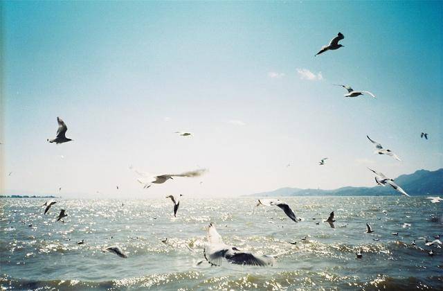 2020上半年青岛gdp5514.73_青岛地铁线路图2020年