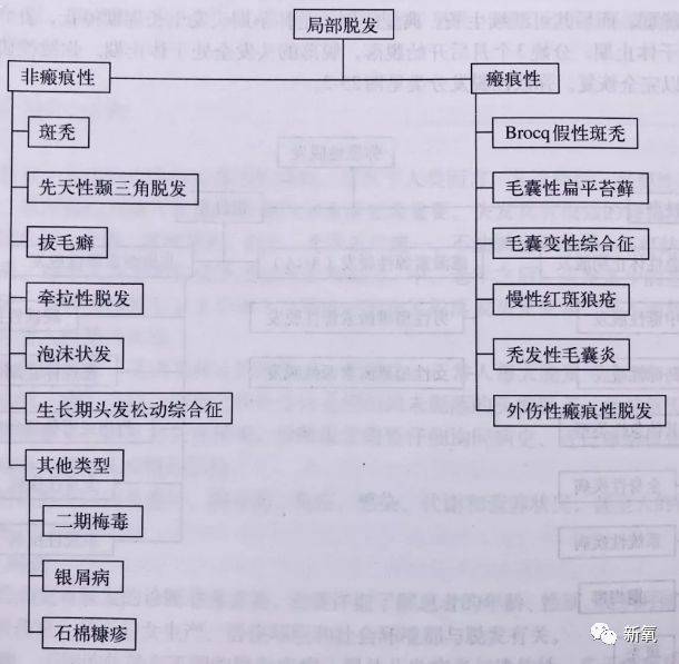 头发|娜扎消失的头发全回来了…这方法比鞠婧祎还高明！