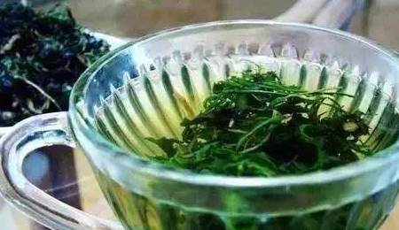 婆婆丁的功效及禁忌 c9b4e5b3918c4c63982d24c02f171c73.jpeg