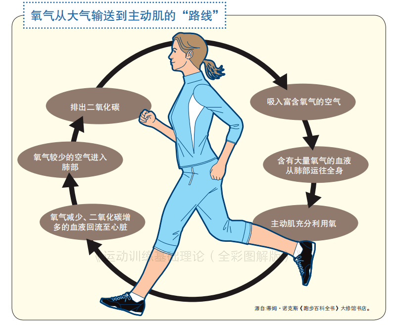 哪些属于有氧运动项目 979106f85cc14eabaaf1ffffe3880e3c.png