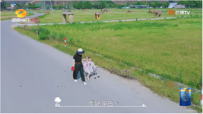 森林|安利一档清新自然的综艺《奇妙小森林》