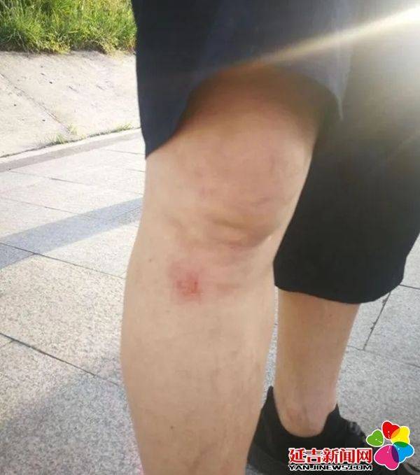 爷孙落水 危急时刻年近六旬延大教师崔正浩出手