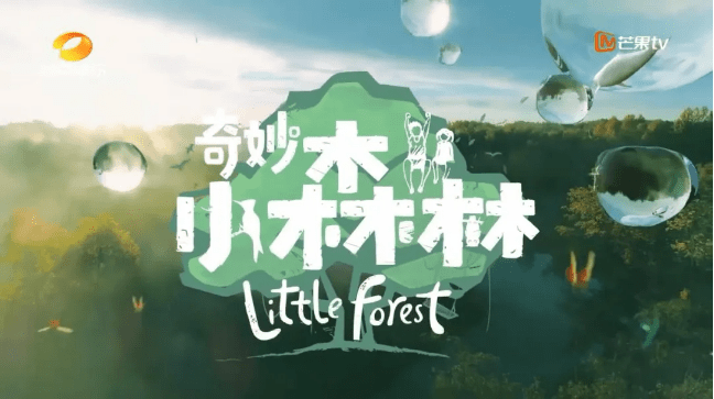 森林|安利一档清新自然的综艺《奇妙小森林》