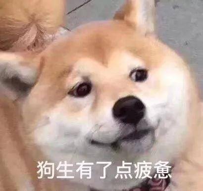 郑爽|她大概是女演员里活得最像网红的了