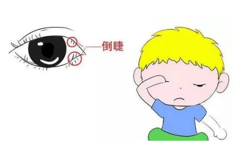 3640b53137b3463b82cc294bb6f7866f.png