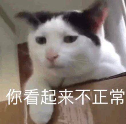 郑爽|她大概是女演员里活得最像网红的了