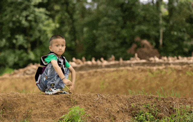 一本书,为乡村孩子打开新世界