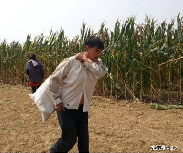 凉棚|原创大衣哥免费为邻居建凉棚，打扮朴素接地气，曾捐百万却遭喷捐太少