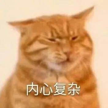 郑爽|她大概是女演员里活得最像网红的了