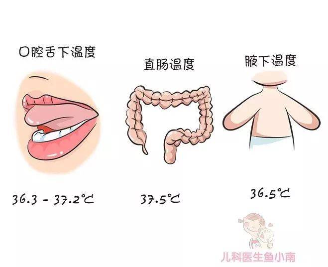 宝宝|体温计应该怎么选？怎么用？宝宝发烧了用什么测体温最准确