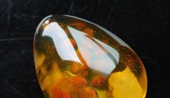 婆婆丁怎么识别 e253354ae2f647de873b999d44c3533a.jpeg