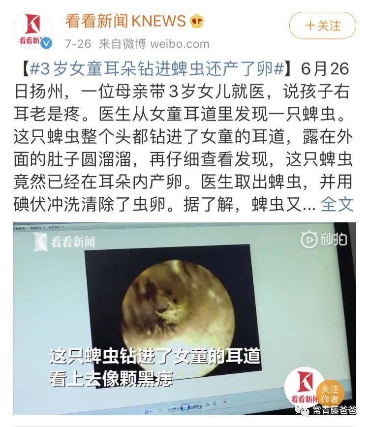下楼遛娃时当心草丛中的蜱虫虫子虽小却能传染各种严重疾病