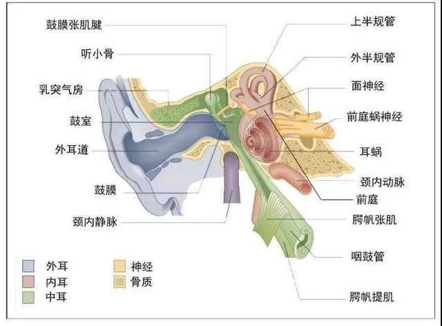 头晕目眩是怎么办