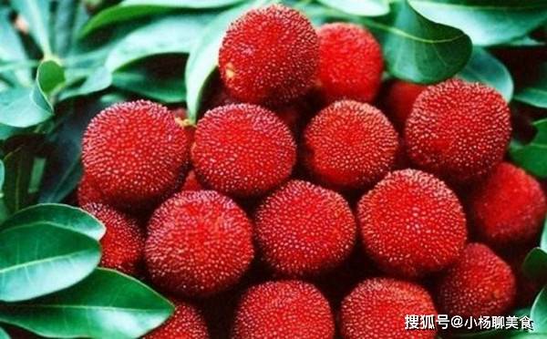 树莓适合在哪个季节吃 b182c13d30234269b31b039742bbc594.jpeg