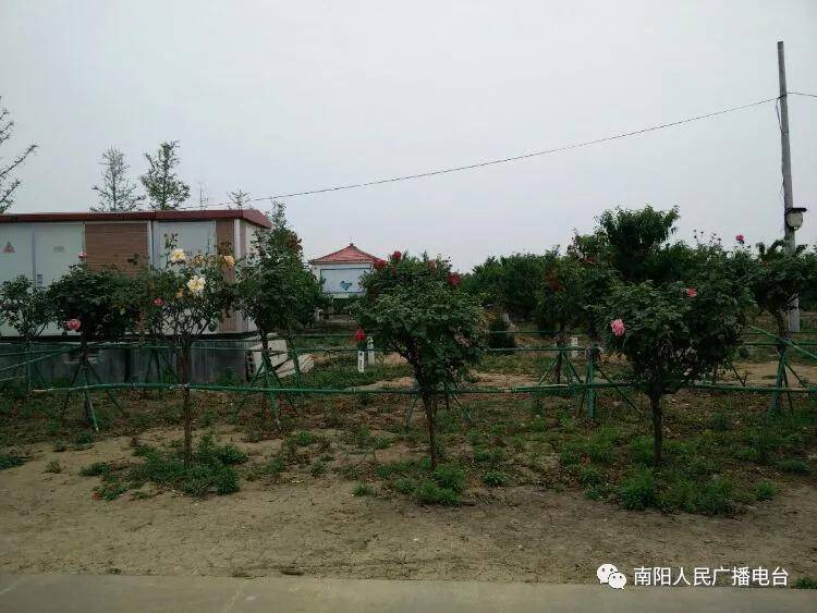 2020年南阳有哪些私_重磅:南阳市2020年普通高中招生工作意见发布!