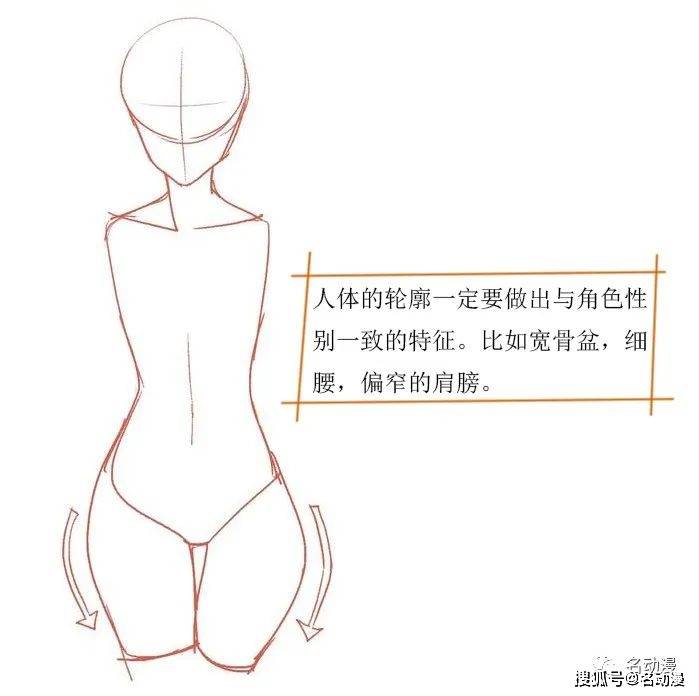 女性人体画法教程之衣服