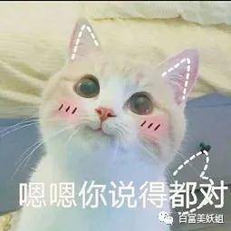 阿四|B站学霸网红靠一张脸赚百万，还让50w人酸她的爱情…