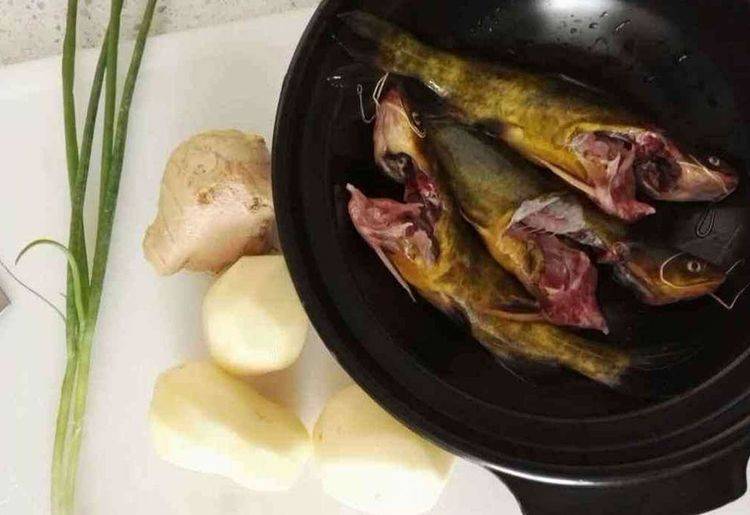 每百克鸡胸肉多少脂肪 64c37fdaa64f491e8e06e7191136a9d0.jpeg
