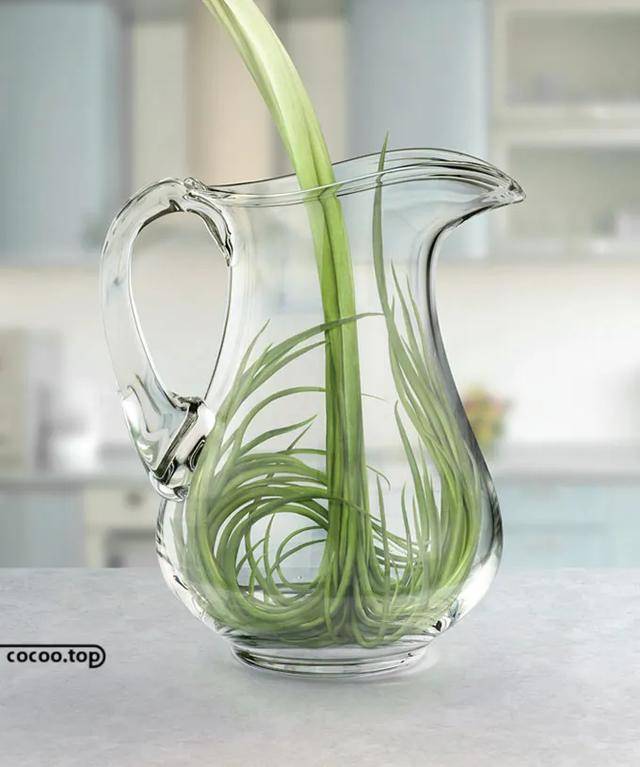 杂谈|杂谈!广告语简约风格