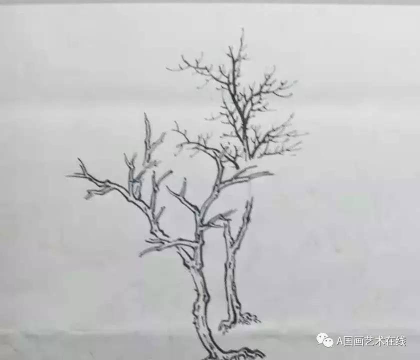 一,传统山水的画法 1,起手式:先画近景树,注意:树分四枝,枝干的前后