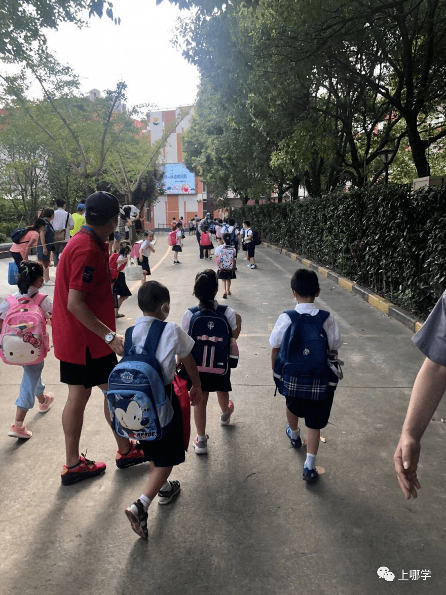 家长|神兽归笼现场！上海150万小学生今天开学！妈趴窗，爹爬树，场面过于激动~