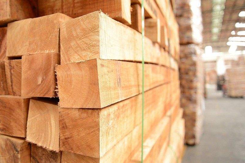 【木业资讯】木材市场新动态其中巴花价格高位难跌