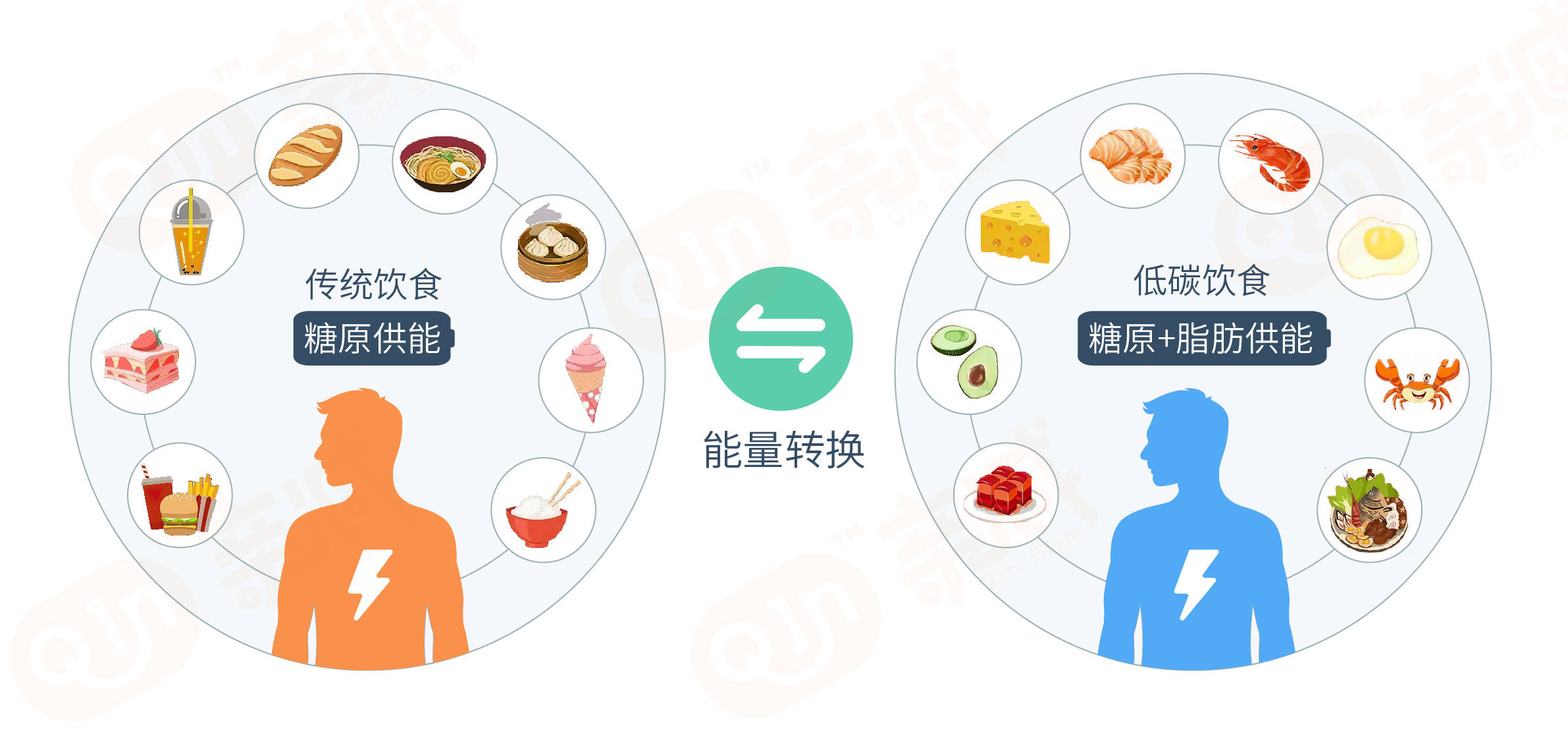 优化膳食结构,从学会控制碳水开始_脂肪