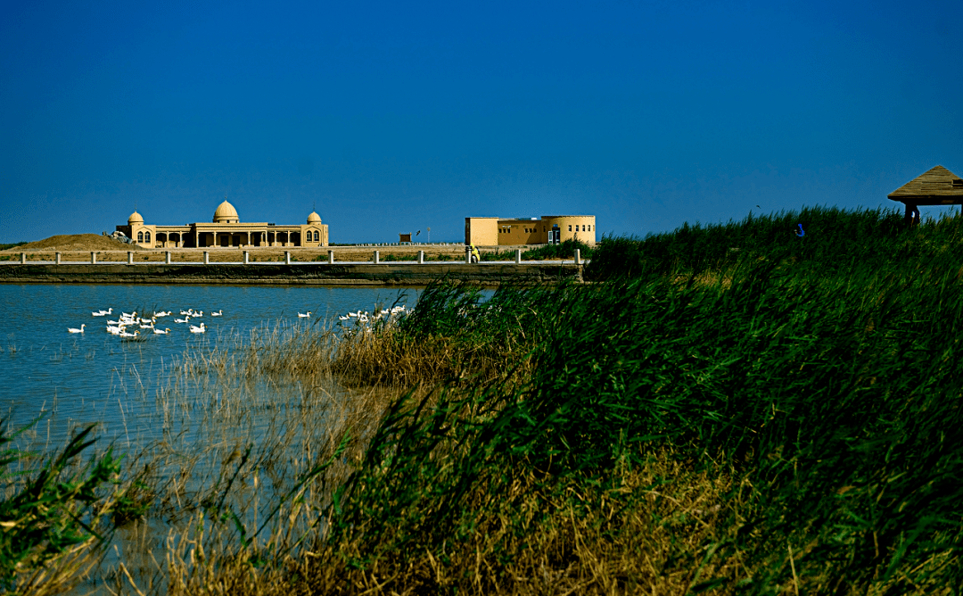 8.艾丁湖景区(国家3a级旅游景区)9.沙漠植物园景区10.