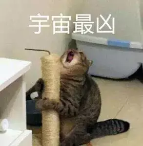 图片|难怪孩子起床气大！孩子一睡醒就哭闹、摔东西…杀伤式叫醒