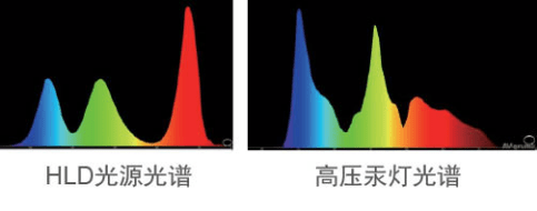 高亮度|开学季，宝视来HLD投影机助力教学