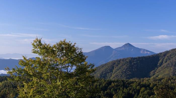 显示技术之争退位？彩电市场竞争今年主打应用场景-家电圈官网