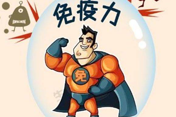 人体免疫力由什么决定