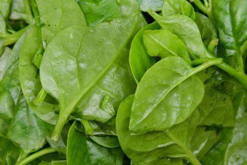 个儿|不妨多给孩子吃此菜，补充钙质，个儿猛长，还能排毒素春天到了