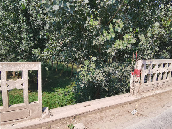 大桥|三访危桥！开封市尉氏县水坡镇这座危桥为何还是老样子