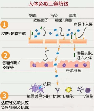 d286b88263c34f1ba29217e08abb9ae8.png