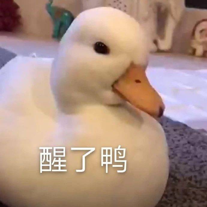 搞笑表情包图片生活就是如此欢乐