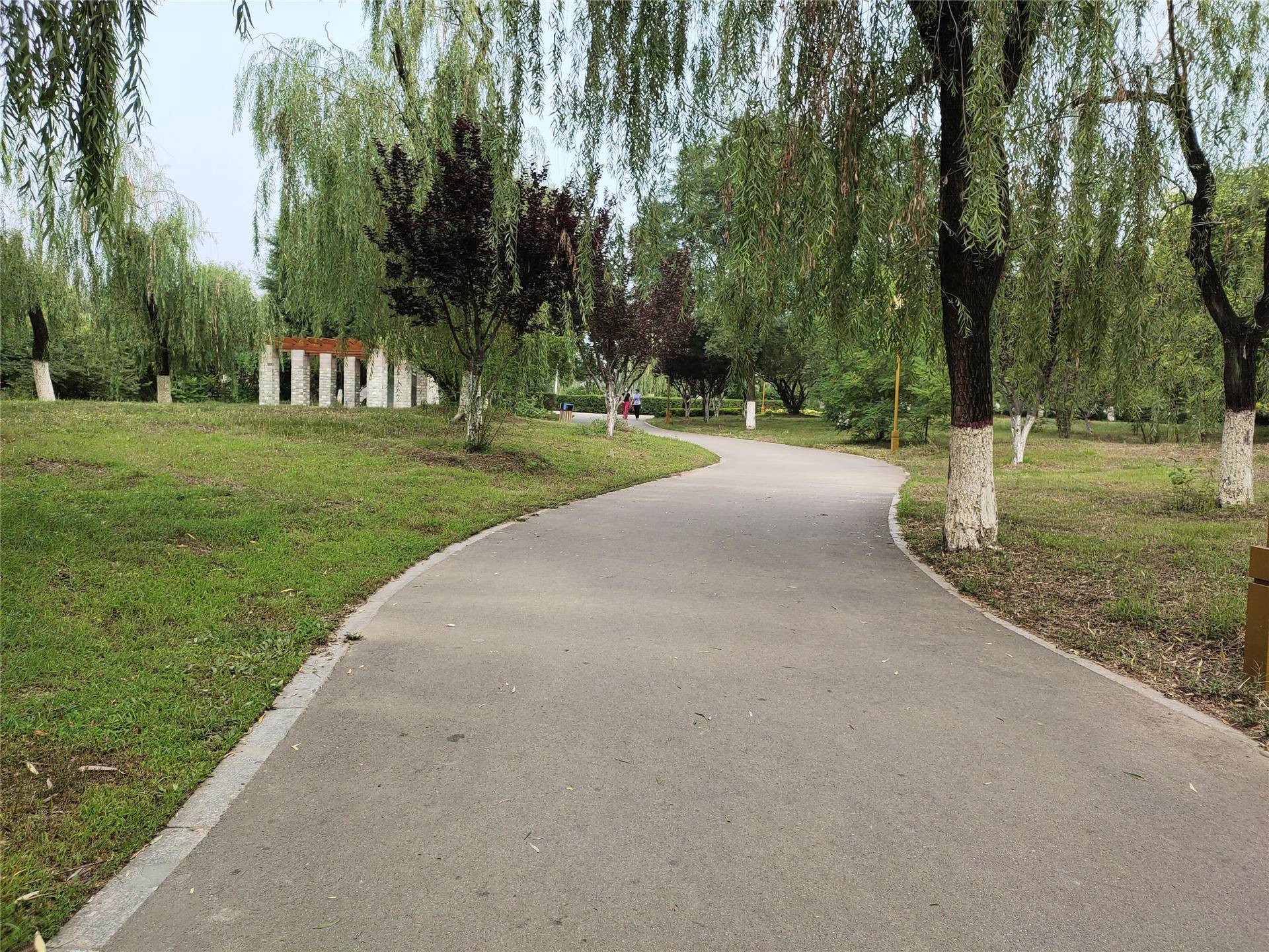 手感|iQOO 3变形金刚限量版，手感一流，要的就是这个范儿