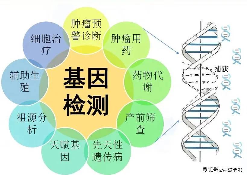 什么是基因治疗 0a9d97da9dd24f2ca23809b0f566eae7.jpeg