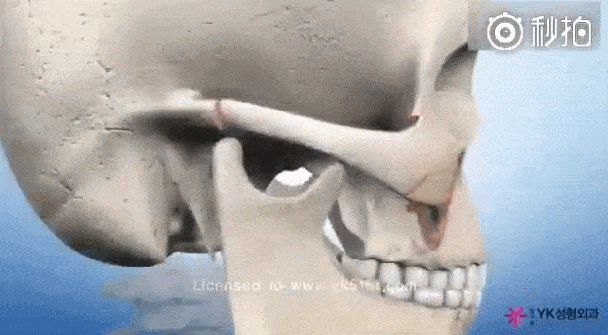 底子|骨相差生逆袭南韩第一时髦精，全智贤都压不住？！