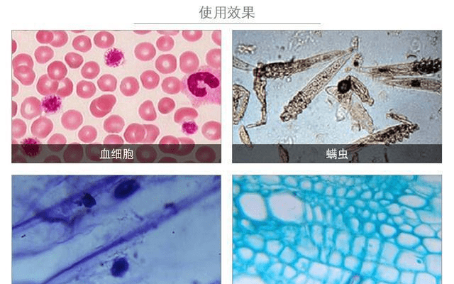 日本最强时GDP占到美国_日本经济几十年不增长,为什么欧洲国家还是超越不了它