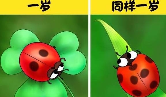 大家怎么去斑点的 652c0791d7e5418cb8232dc3ee61fed3.jpeg