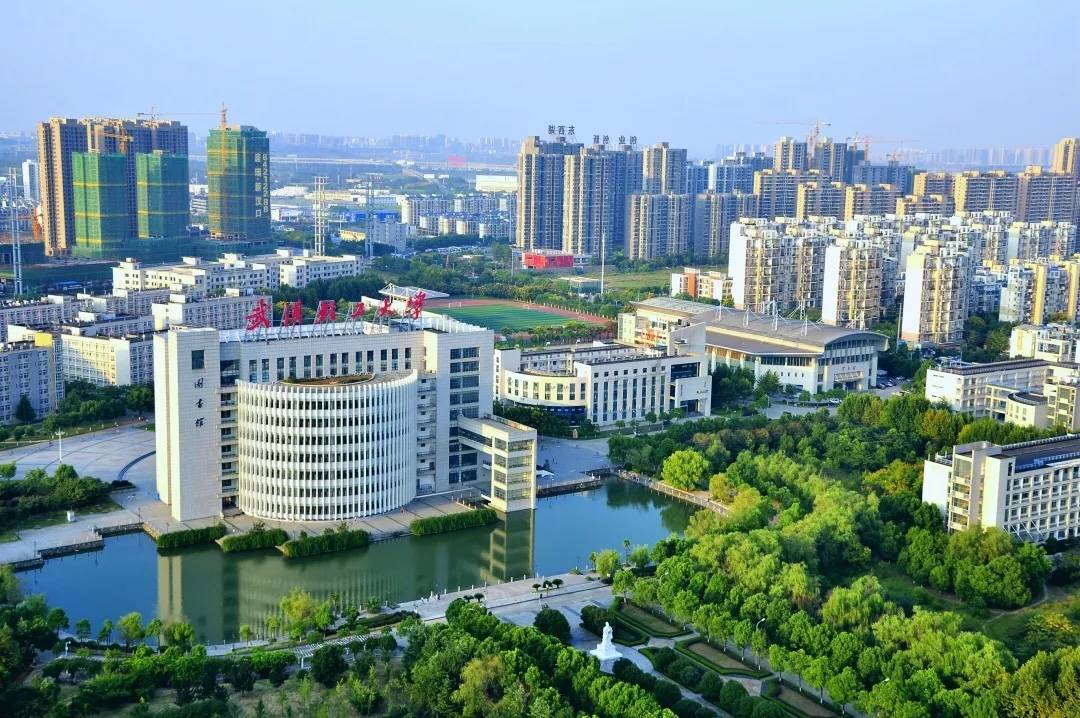 从排名榜单看,武汉轻工大学怎么样