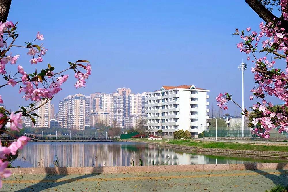 梦想今日绽放我们在鄂州职业大学等你