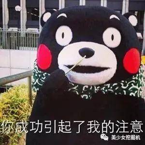 男人|张雨绮用拳头让男人闭嘴，她用一张毒嘴让男人自闭···